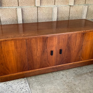Mid Century Modern Plattenschrank