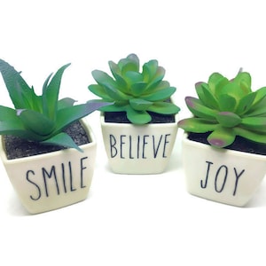 potted succulant with message, faux succulent - inspirational words, personalization available