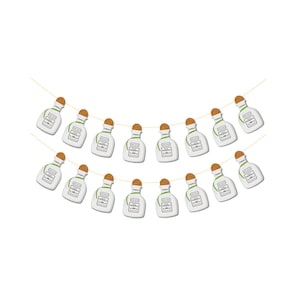 Tequila Bottle Banner, Tequila Party Decorations