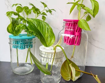 Station de propagation de tiges de plantes, support de pot coloré - PETG - Ouverture large standard, long court