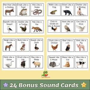 May include: A set of 24 bonus sound cards featuring illustrations of animals and their corresponding sounds. Each card displays an animal such as a donkey, frog, snake, and more, along with the sound they make. The cards are arranged in a grid format.