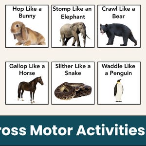 May include: Educational graphic with animal movement prompts: "Hop Like a Bunny," "Stomp Like an Elephant," "Crawl Like a Bear," "Gallop Like a Horse," "Slither Like a Snake," and "Waddle Like a Penguin." The text "Gross Motor Activities" is at the bottom.