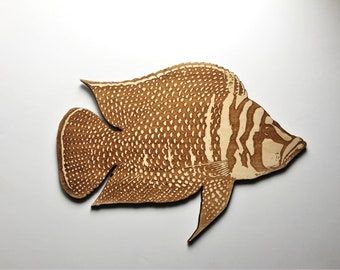 Altolamprologus Calvus Cichlid Fish Magnet