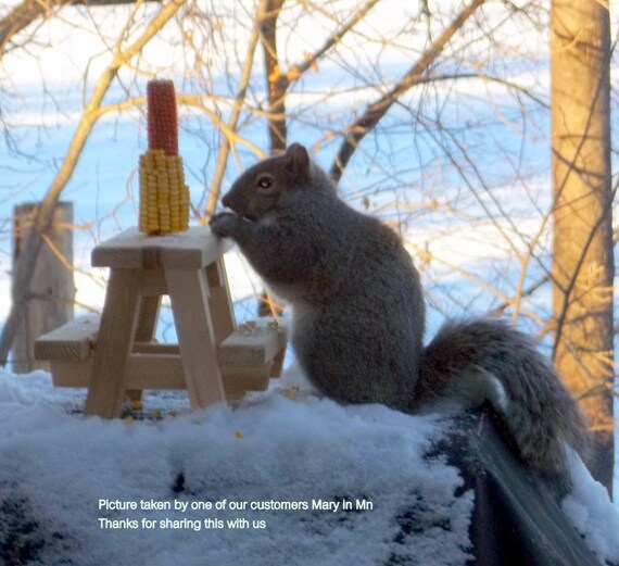 Squirrel Feeder Picnic Table Birds Chipmunks Wildlife Handmade Etsy