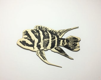 Frontosa Cichlid Fish Wall ART, 12'' x 7.5''
