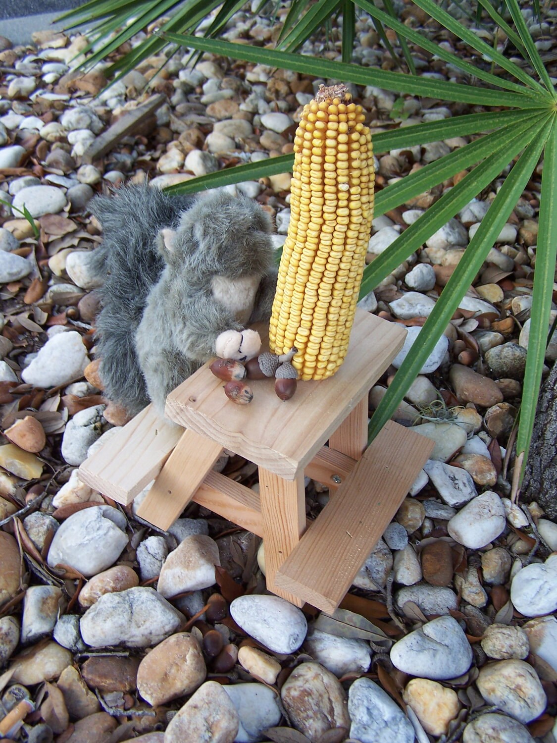 Squirrel Feeder Picnic Table Birds Chipmunks Wildlife 