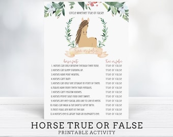 Horse True or False Activity, Horse Birthday Party Game, Pony Party Game, Farm Birthday Game, Horse Birthday Activity  - INSTANT DOWNLOAD