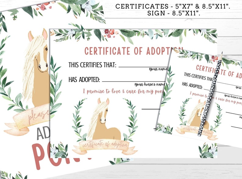 Adopt a Pony Adoption Certificate and Sign Adopt a Horse - Etsy