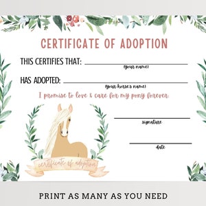 Adopt a Pony Adoption Certificate and Sign, Adopt a Horse, Horse ...