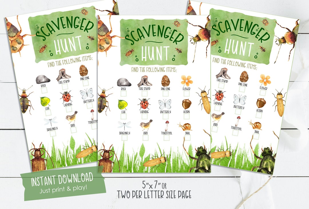 Bug Scavenger Hunt  Printable Scavenger Hunt Activity