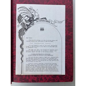 Zauberer und Hexen Die Zauberhafte Welt Zeit-Lebens Bücher 1984 Hardcover Rot Gold Bild 3