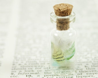 Parakeet Feather Specimen in Small Vial, Budgie Feather Curiosity for Nature Cabinet, Wunderkammer