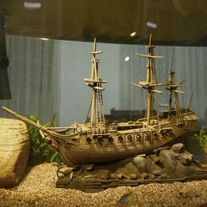 Op de afbeelding: Een gedetailleerd houten model van een zeilschip, compleet met masten, tuigage en een gedetailleerde romp. Het schip staat op een rotsachtige basis in een aquarium, omringd door grind en planten. Het model is lichtbruin.