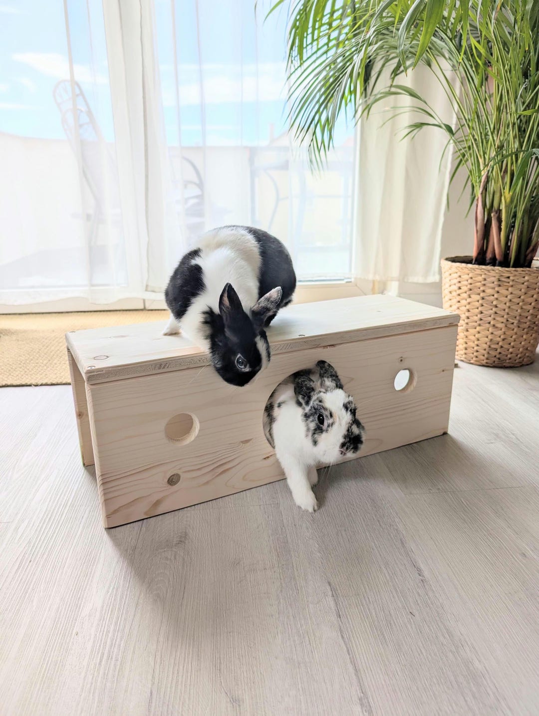 Wooden Rabbit Tunnel | Species-appropriate Wooden Tunnel for Rabbits ...