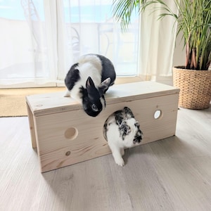 Holztunnel Kaninchen I Artgerechter Tunnel für Kaninchen aus Holz mit extra-Eingang und Gucklöchern, Länge 60cm