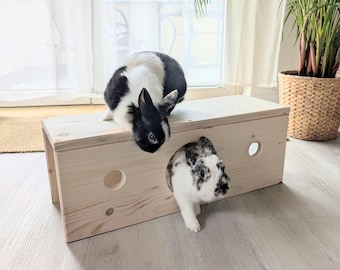 Tunnel in legno per conigli | Tunnel in legno adatto alla specie per conigli con ingresso aggiuntivo e spioncini, lunghezza 60 cm