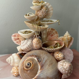 Handgefertigter Schmuckhalter aus Muscheln – Ringorganizer im Küstenstil, Stranddeko, Schmuckständer im Ozean-Look, Aufbewahrungsmöglichkeit für Muscheln
