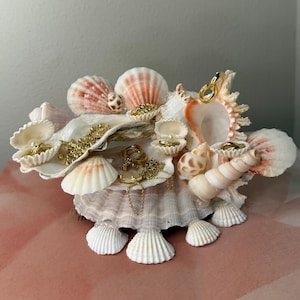 May include: A decorative seashell jewelry holder. The holder is made of various seashells in shades of white, pink, and beige. Gold jewelry, including rings and necklaces, is displayed within the shells. The holder sits on a pink surface.