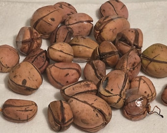 ÒBÌ/KolaNut for Òrìsha Worship