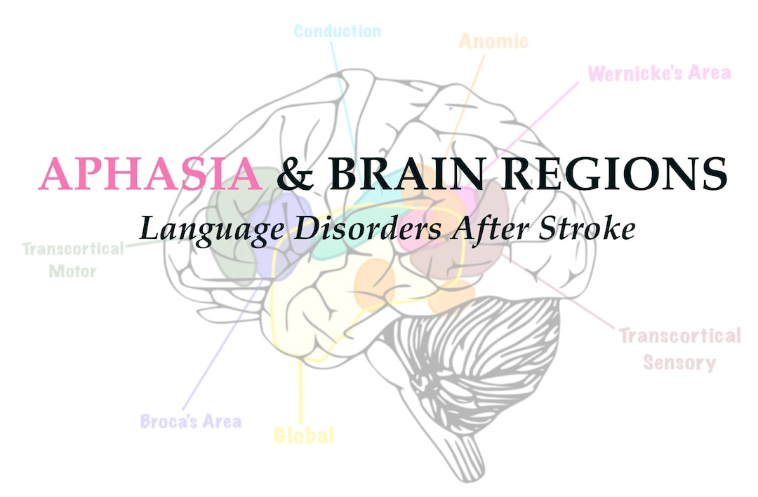Aphasia Brain Map: Color-coded Stroke Locations & Language Deficits ...