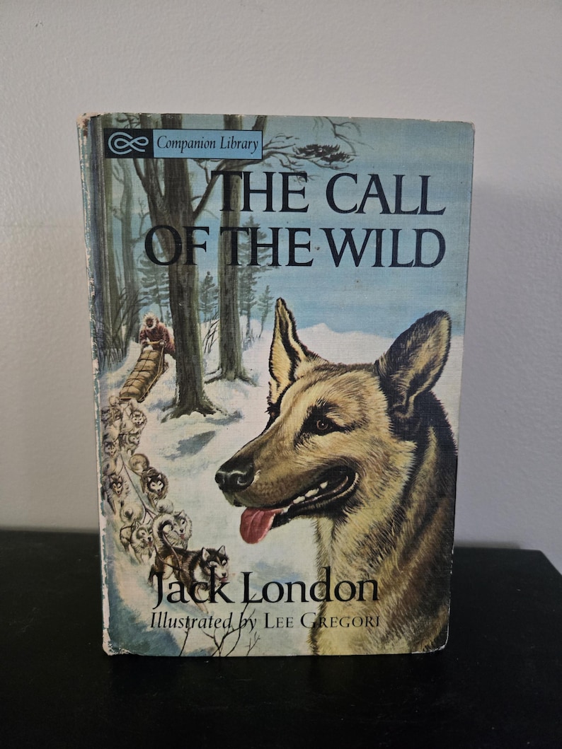 May include: Vintage book cover for "The Call of the Wild" by Jack London. The cover features a detailed illustration of a dog with its tongue out, set against a snowy forest scene with a dog sled. The book is part of the Companion Library.