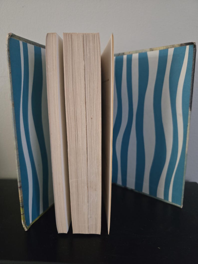 May include: An open book with pages fanned out, revealing a spine and interior pages. The covers feature a blue and white wavy stripe pattern. The book is set against a dark surface.