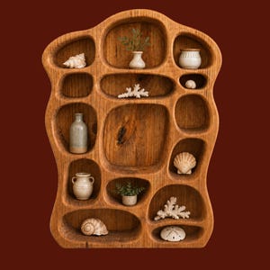 May include: A brown wooden wall shelf with an organic, irregular shape featuring multiple rounded compartments of varying sizes. The shelves contain small decorative items including ceramic vases, white seashells, coral pieces, and small green plants.