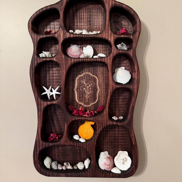 Handcrafted Treasure Trove Shelf | Solid Wood Trinket Display | Jewelry Keepsake Holder |  Wall Organizer for Shells, Trinkets & Memories