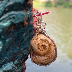 Puede incluir: Un colgante de fósil en forma de espiral de color tostado, envuelto en alambre de color plateado. El fósil tiene una superficie texturizada y porosa con acentos de color marrón oscuro en los surcos. Una anilla metálica plateada está en la parte superior.