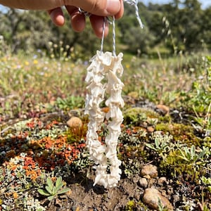 Può includere: Un ciondolo in osso articolato color crema è sospeso su uno sfondo naturale sfocato. Il ciondolo è composto da più ossa piccole e dalla forma intricata infilate insieme. Lo sfondo presenta vegetazione verde e marrone con fiori selvatici colorati.