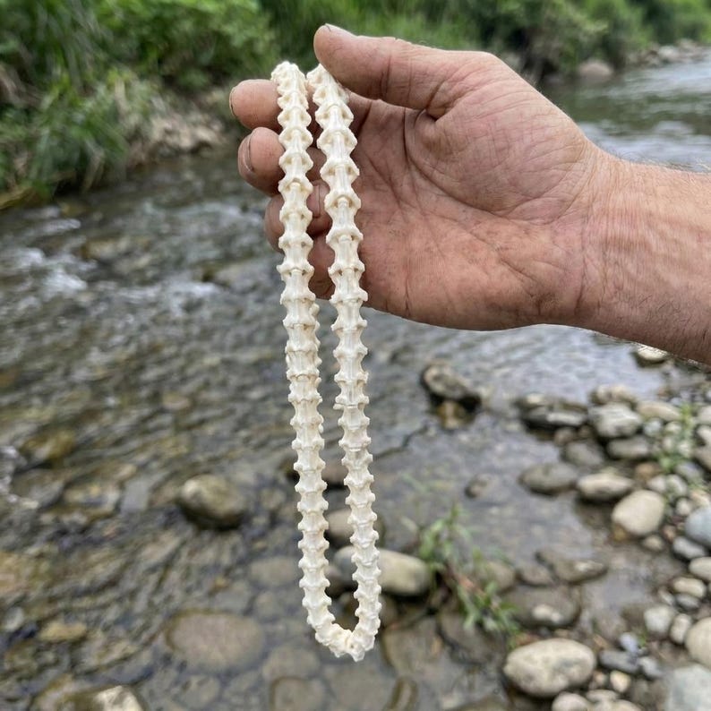 Op de afbeelding: Een cr&egrave;mekleurige ketting gemaakt van kleine, botachtige segmenten. De ketting wordt in een hand gehouden, met een vage achtergrond van een rivier en groen.