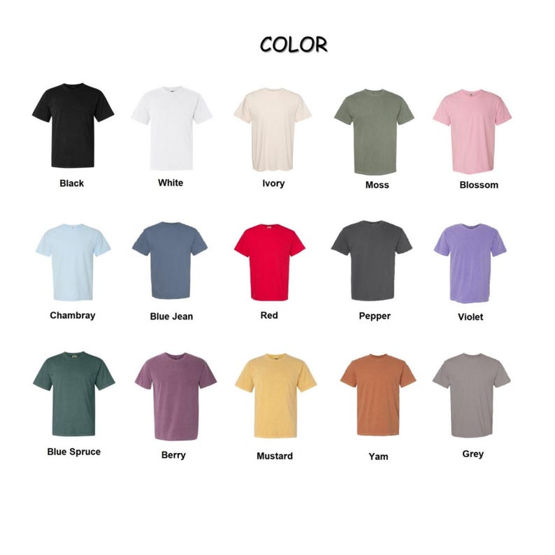 Disney Princess Moana Meme Comfort Colors Shirt, Disney Princess Tee Shirt, Magic Kingdom Shirt