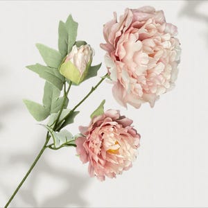 Peut inclure: Une tige de pivoines artificielles rose clair, avec une fleur entièrement épanouie, une fleur partiellement épanouie et un bouton. La tige et les feuilles vertes contrastent avec les pétales roses tendres. Idéal pour la décoration intérieure.