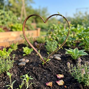 May include: A heart-shaped, rusty brown metal garden stake with a climbing vine. The stake is placed in a garden bed with dark soil, small rocks, and various green plants. The background shows more greenery and a wooden structure.