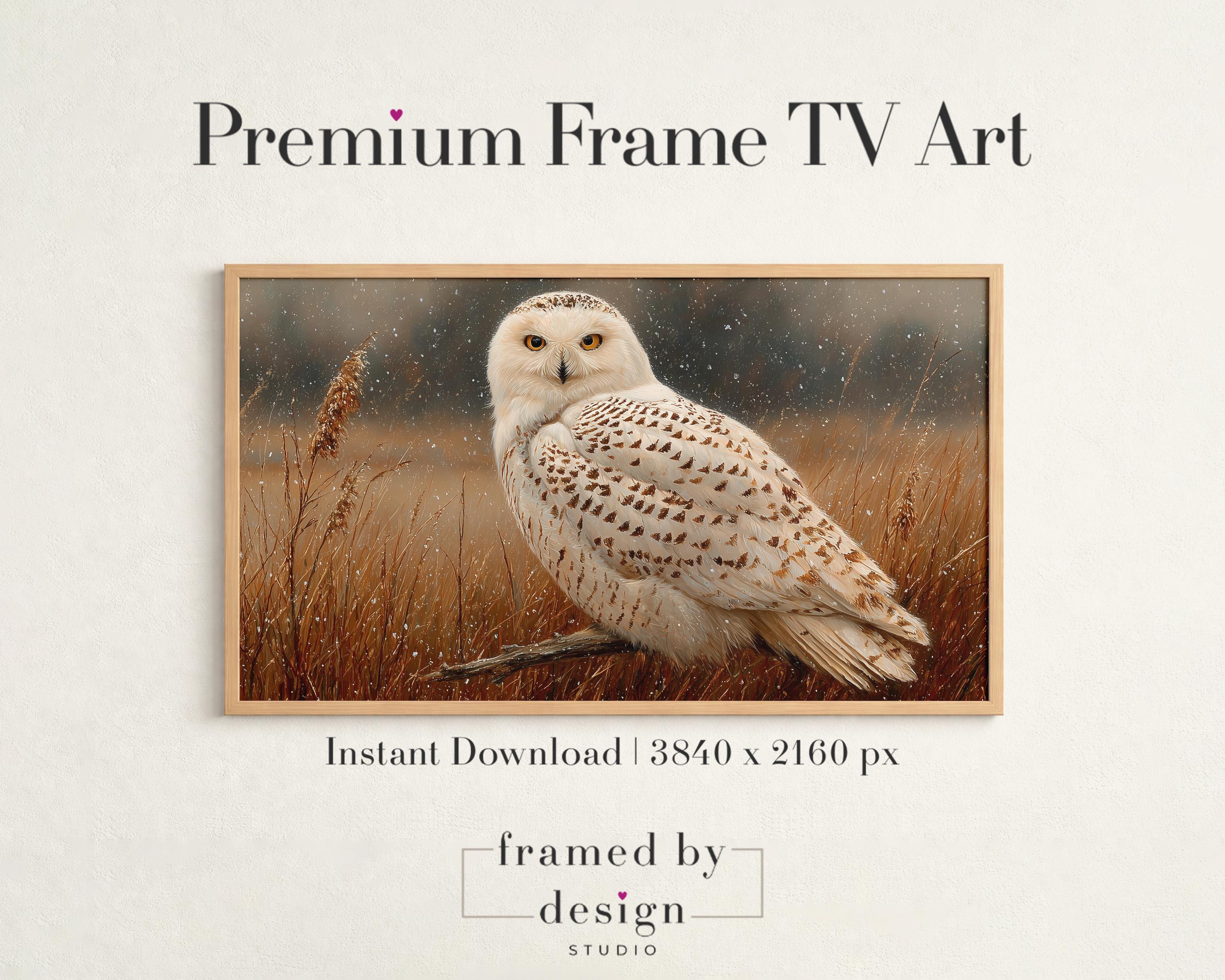 Winter Snowy Owl Frame TV Art - Rustic Neutral Wildlife Digital Art, Serene Nature Decor, Textured R