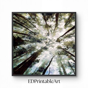 Puede incluir: Una impresión en acuarela enmarcada de una copa de un bosque, vista desde abajo. La obra presenta altos y oscuros troncos de árboles que se extienden hacia un cielo brillante y nublado. El texto "EDPrintableArt" está en la parte inferior.