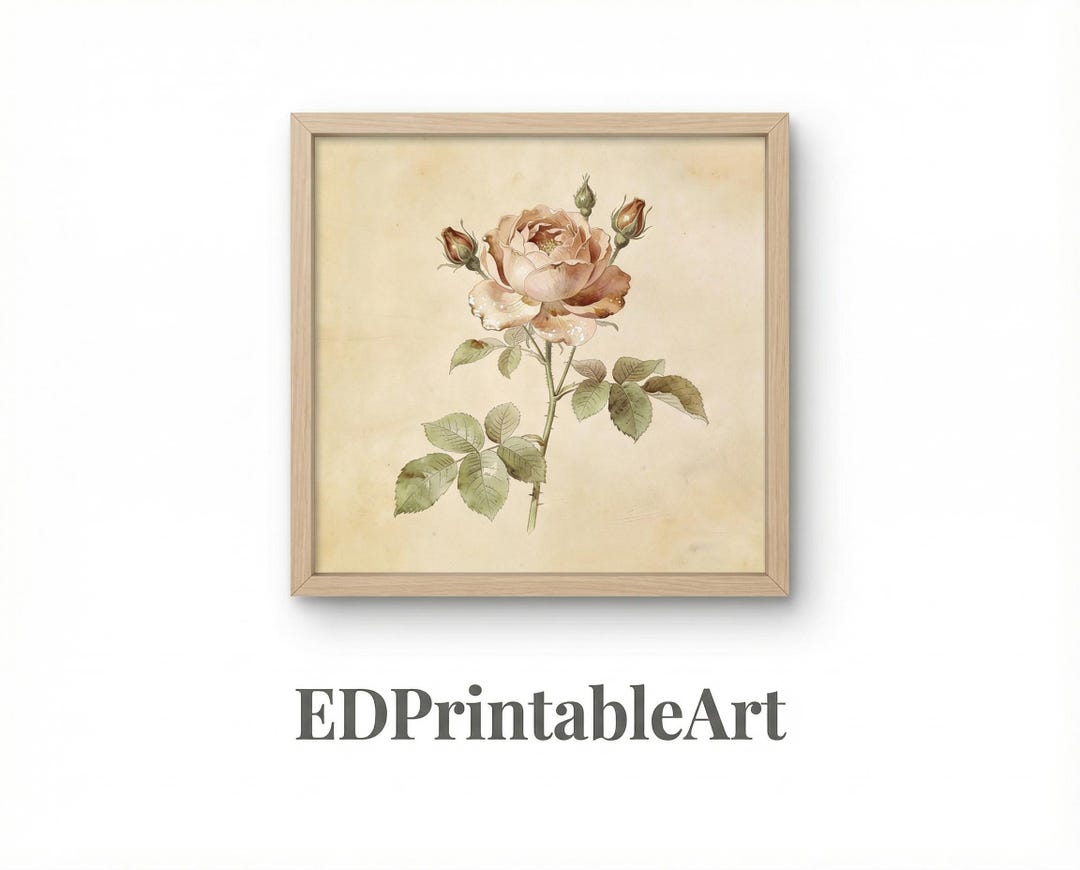 Vintage Peach Rose Botanical Print – Watercolor Floral Wall Decor ...