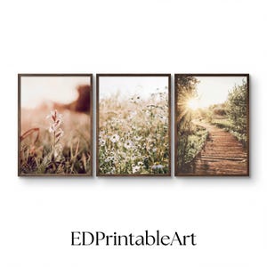 Puede incluir: Tres impresiones artísticas enmarcadas con escenas de la naturaleza. La impresión de la izquierda muestra hierba alta y flores con un brillo cálido. La impresión central muestra un campo de margaritas blancas. La impresión de la derecha muestra un camino de madera.