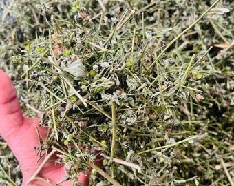 Dried Sida Acuta Leaves | Wireweed Herbal Tea Ingredient, Botanical Craft Use