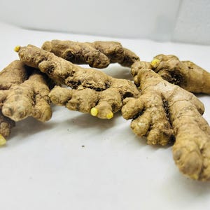 Op de afbeelding: Een verzameling verse gemberwortels, met een lichtbruine kleur en gele uiteinden. De gemberstukken zijn gerangschikt op een witte ondergrond, waarbij hun getextureerde, onregelmatige vormen worden benadrukt. De afbeelding toont de natuurlijke, organische vorm van de specerij.