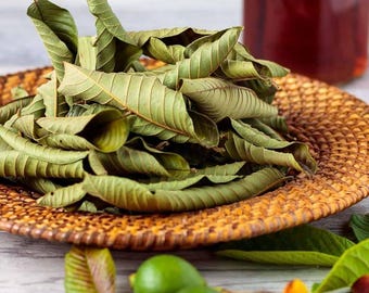 Dried Guava Leaves | Sri Lankan Natural Herbal Tea (100g|3.53oz)