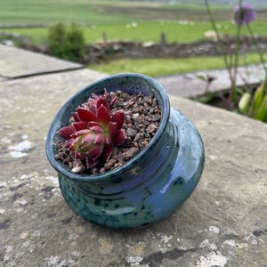 May include: A small, round, glazed ceramic planter with a deep blue and green mottled finish. The planter is tilted at an angle and contains a single, dark red succulent plant nestled in a bed of small, coarse, brown gravel and soil particles.