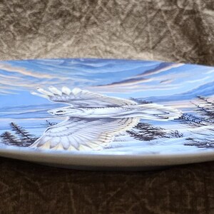 May include: A decorative plate featuring a detailed painting of a white eagle in flight against a blue sky and snowy landscape. The plate has a white rim and a glossy finish, showcasing the artwork's vibrant colors and intricate details.
