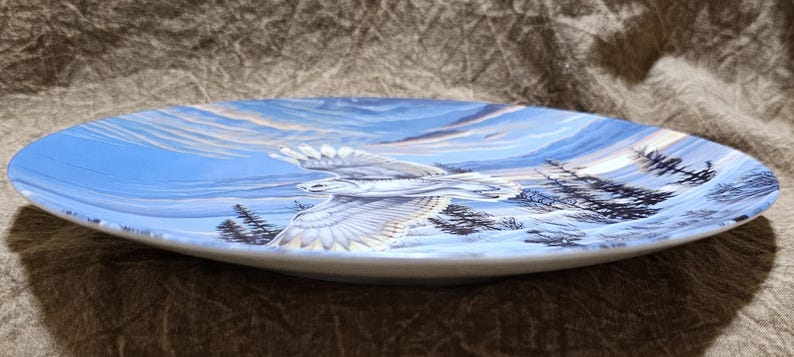 May include: A decorative plate featuring a detailed painting of a white eagle in flight against a blue sky and snowy landscape. The plate has a white rim and a glossy finish, showcasing the artwork's vibrant colors and intricate details.