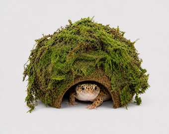 Natural Coconut Cave Hide with Sphagnum Moss | Reptile Humid Terrarium Shelter