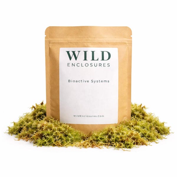 Bioactive Habitat Moss for Terrariums & Vivariums