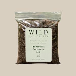 Bioactive Isopod Substrate Mix – Terrarium Soil, Leaf Litter, Wood Bedding