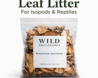 Oak Maple Leaf Litter for Isopods, Reptiles, Bioactive Enclosures – Natural Forest Floor Mix