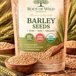 Semillas de cebada orgánica (Hordeum vulgare) / / Semillas de hierbas naturales para germinar, preparar infusiones, preparar té y plantar /