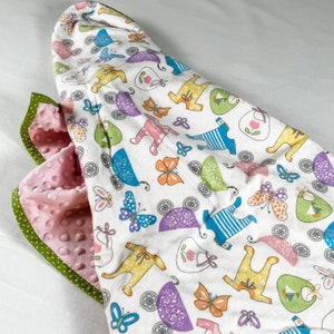 Flannel and Minky Baby Clothes blanket